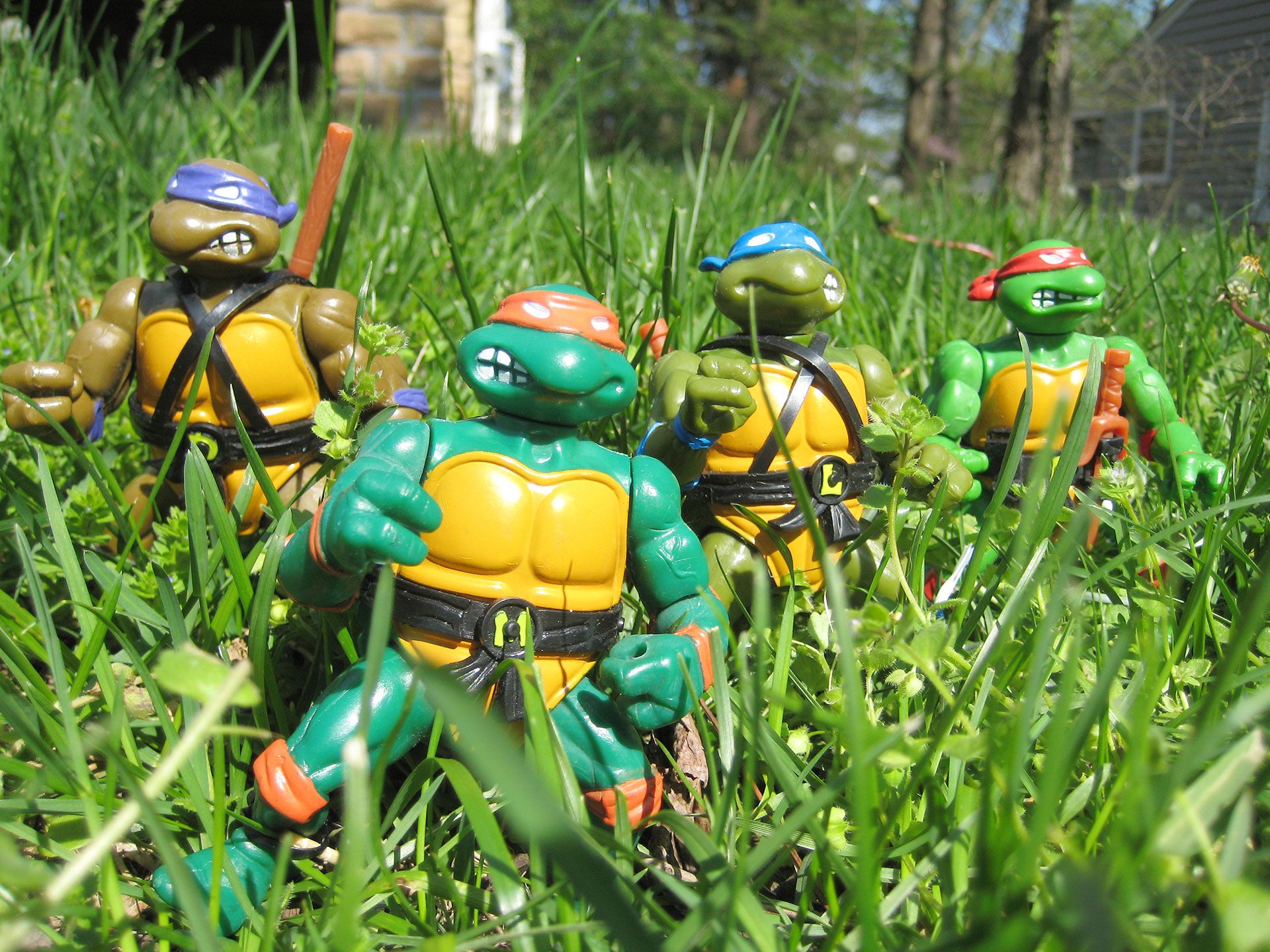 Teenage Mutant Ninja Turtles Action Figures